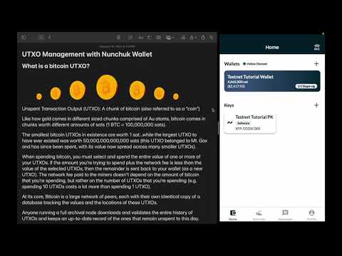 Bitcoin UTXO Management with Nunchuk Wallet